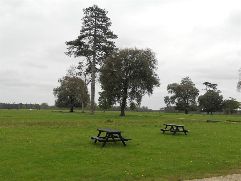 The Stables At Henham Park Bed & Breakfast Southwold Dış mekan fotoğraf