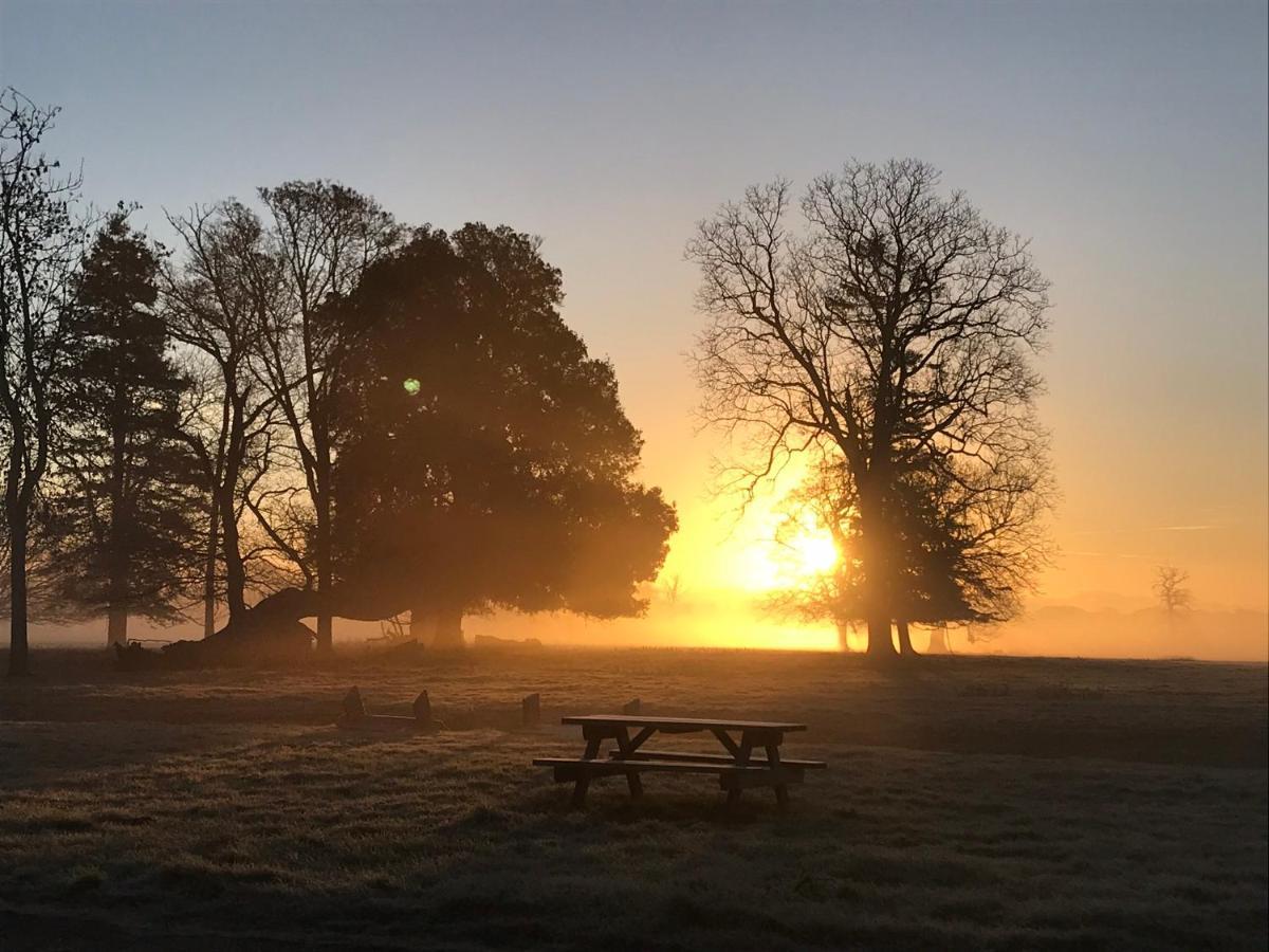The Stables At Henham Park Bed & Breakfast Southwold Dış mekan fotoğraf