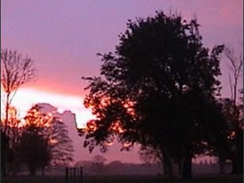 The Stables At Henham Park Bed & Breakfast Southwold Dış mekan fotoğraf